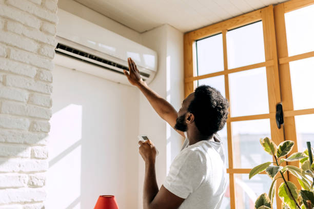 Best Air Quality Test  in Laymantown, VA